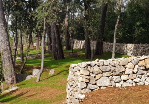 MAISTRA - Okoliš hotela Park u Rovinju 2019 MAISTRA - Okoliš hotela Park u Rovinju 2019